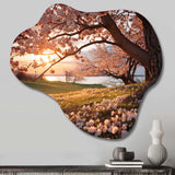 Pink Cherry Blossom Field II - Asymmetric Metal Wall Art