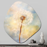 White Dandelion Romantic Impression III - Asymmetric Metal Wall Art