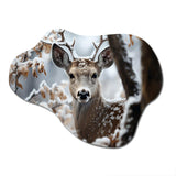 Winter Deer Monochrome Photography I - Asymmetric Metal Wall Art