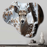 Winter Deer Monochrome Photography I - Asymmetric Metal Wall Art