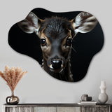 Black And White Deer Portrait - Asymmetric Metal Wall Art