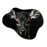 Black And White Deer Portrait - Asymmetric Metal Wall Art