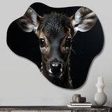 Black And White Deer Portrait - Asymmetric Metal Wall Art