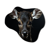 Black And White Deer Portrait - Asymmetric Metal Wall Art