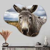 Grey Donkey Gentle Companion - Asymmetric Metal Wall Art