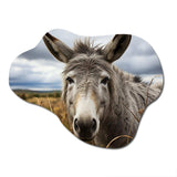 Grey Donkey Gentle Companion - Asymmetric Metal Wall Art