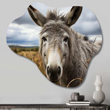 Grey Donkey Gentle Companion - Asymmetric Metal Wall Art