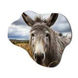 Grey Donkey Gentle Companion - Asymmetric Metal Wall Art