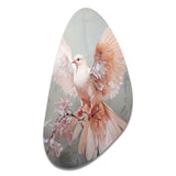 Pink Dove Winged Messenger - Asymmetric Metal Wall Art