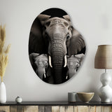 Black And White Elephant Embrace Of Strength I - Asymmetric Metal Wall Art