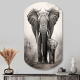 Elephant Whispers Of Africa II - Asymmetric Metal Wall Art