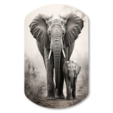 Elephant Whispers Of Africa II - Asymmetric Metal Wall Art