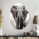 Elephant Whispers Of Africa II - Asymmetric Metal Wall Art