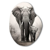 Elephant Whispers Of Africa II - Asymmetric Metal Wall Art