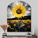 Yellow Brown Sunflower Field Emergent Sunflower II - Asymmetric Metal Wall Art