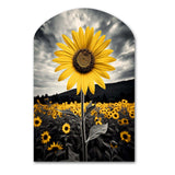 Yellow Brown Sunflower Field Emergent Sunflower II - Asymmetric Metal Wall Art