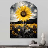 Yellow Brown Sunflower Field Emergent Sunflower II - Asymmetric Metal Wall Art