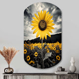 Yellow Brown Sunflower Field Emergent Sunflower II - Asymmetric Metal Wall Art