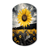 Yellow Brown Sunflower Field Emergent Sunflower II - Asymmetric Metal Wall Art