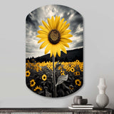 Yellow Brown Sunflower Field Emergent Sunflower II - Asymmetric Metal Wall Art