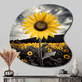 Yellow Brown Sunflower Field Emergent Sunflower II - Asymmetric Metal Wall Art