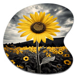 Yellow Brown Sunflower Field Emergent Sunflower II - Asymmetric Metal Wall Art