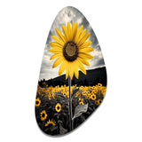 Yellow Brown Sunflower Field Emergent Sunflower II - Asymmetric Metal Wall Art