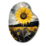 Yellow Brown Sunflower Field Emergent Sunflower II - Asymmetric Metal Wall Art