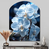 Blue White Flower Field Pearlescent Orchids - Asymmetric Metal Wall Art