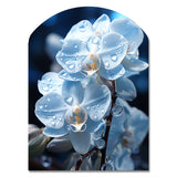 Blue White Flower Field Pearlescent Orchids - Asymmetric Metal Wall Art