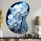 Blue White Flower Field Pearlescent Orchids - Asymmetric Metal Wall Art