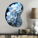 Blue White Flower Field Pearlescent Orchids - Asymmetric Metal Wall Art