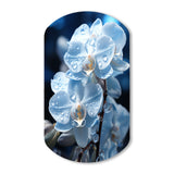 Blue White Flower Field Pearlescent Orchids - Asymmetric Metal Wall Art