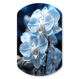 Blue White Flower Field Pearlescent Orchids - Asymmetric Metal Wall Art