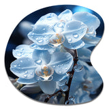 Blue White Flower Field Pearlescent Orchids - Asymmetric Metal Wall Art