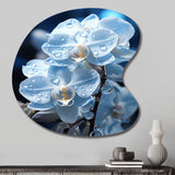 Blue White Flower Field Pearlescent Orchids - Asymmetric Metal Wall Art