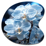 Blue White Flower Field Pearlescent Orchids - Asymmetric Metal Wall Art