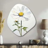 White Daisies Sublime Simplicity II - Asymmetric Metal Wall Art