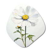 White Daisies Sublime Simplicity II - Asymmetric Metal Wall Art