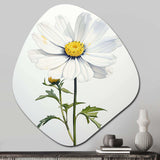 White Daisies Sublime Simplicity II - Asymmetric Metal Wall Art