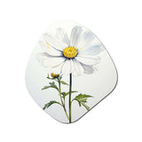 White Daisies Sublime Simplicity II - Asymmetric Metal Wall Art