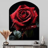 Red Black Rose Elegance I - Asymmetric Metal Wall Art