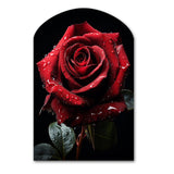 Red Black Rose Elegance I - Asymmetric Metal Wall Art