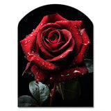 Red Black Rose Elegance I - Asymmetric Metal Wall Art