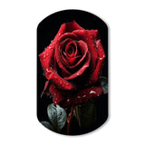 Red Black Rose Elegance I - Asymmetric Metal Wall Art