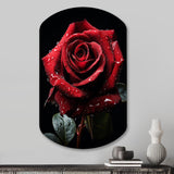 Red Black Rose Elegance I - Asymmetric Metal Wall Art