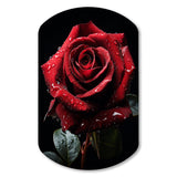 Red Black Rose Elegance I - Asymmetric Metal Wall Art