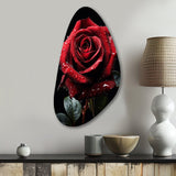 Red Black Rose Elegance I - Asymmetric Metal Wall Art