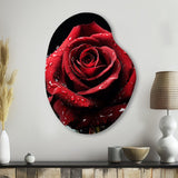 Red Black Rose Elegance I - Asymmetric Metal Wall Art