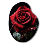 Red Black Rose Elegance I - Asymmetric Metal Wall Art